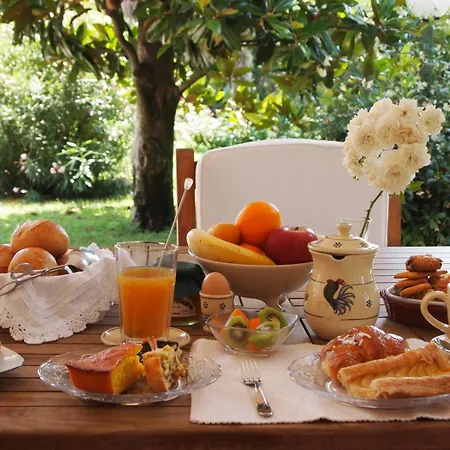 Bb Da La Mi Ma, 3* Gradara